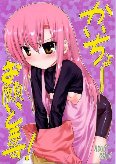 /galleries/2776107/cover.avif