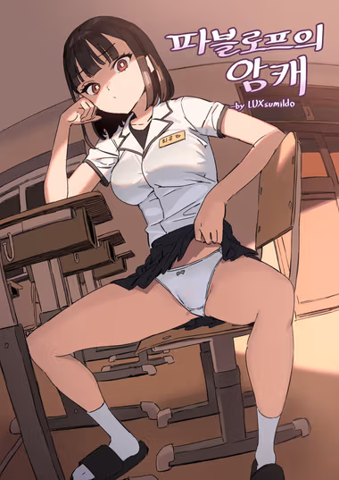 /galleries/3037533/cover.avif