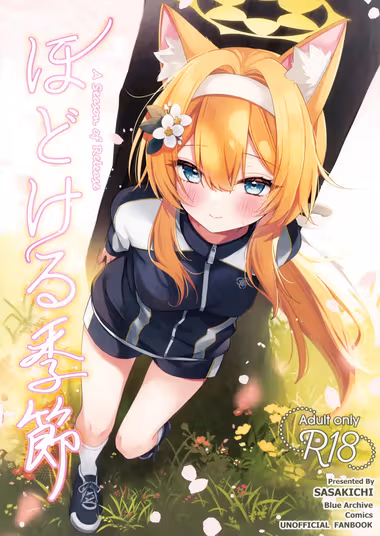 /galleries/3339647/cover.avif